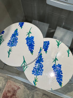 Bluebonnet Drink Coasters