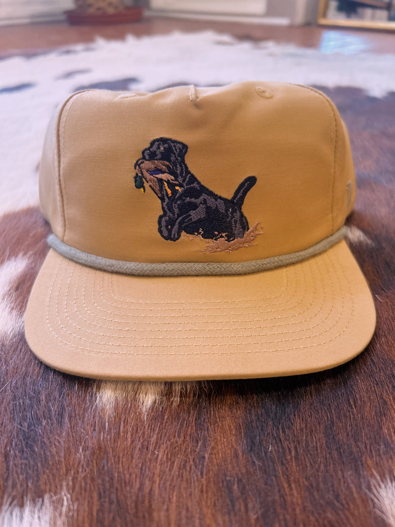 Lab Hat