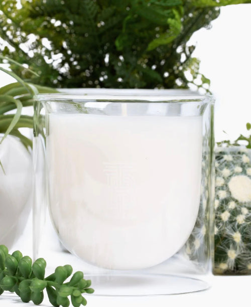 Thomas Blonde Mod Luxe Candle- Joshua Tree