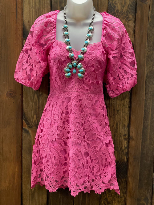 Lucy Paris Elaine Fuchsia Lace Dress