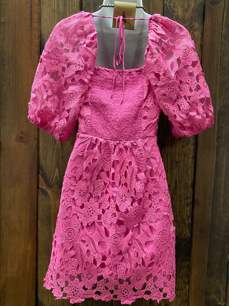 Lucy Paris Elaine Fuchsia Lace Dress